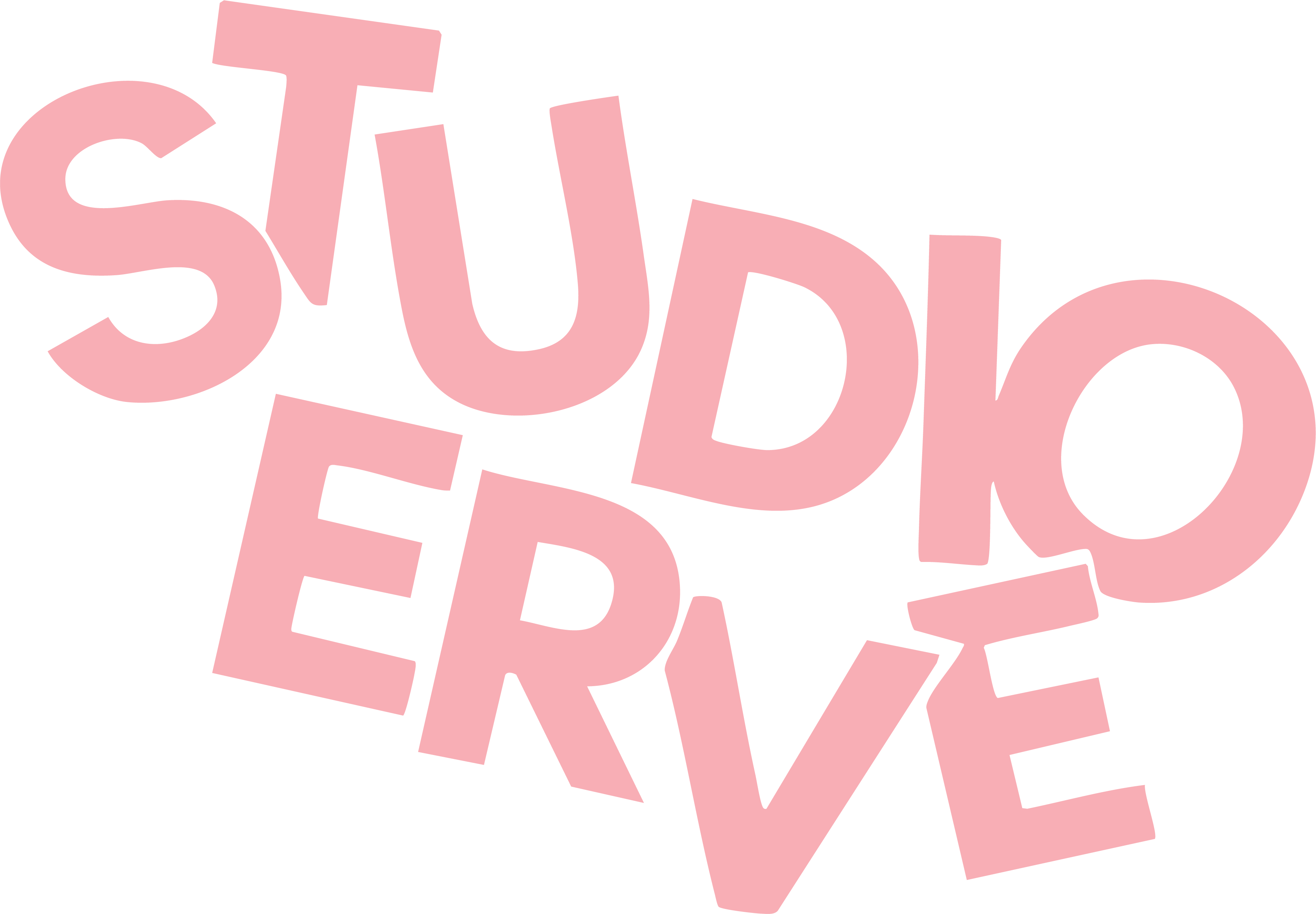Studio Erve logo